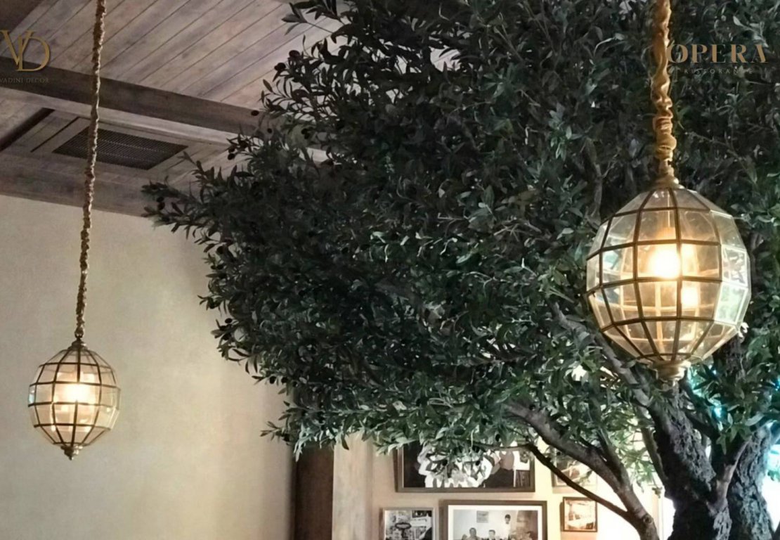 Opera Italian Restaurant